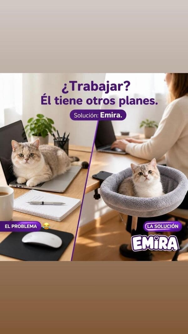 Publicación de EMIRA mostrando el antes y después: el gato sobre el teclado y luego descansando en su nido EMIRA